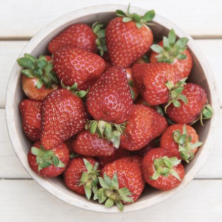 Seascape, Strawberry Roots - 25 Roots image number null